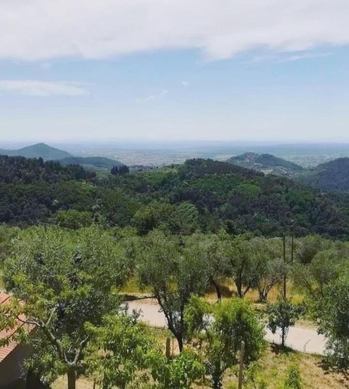 Agriturismo Il Bel Vedere Marliana Kültér fotó